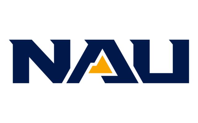Team Mentor Logo