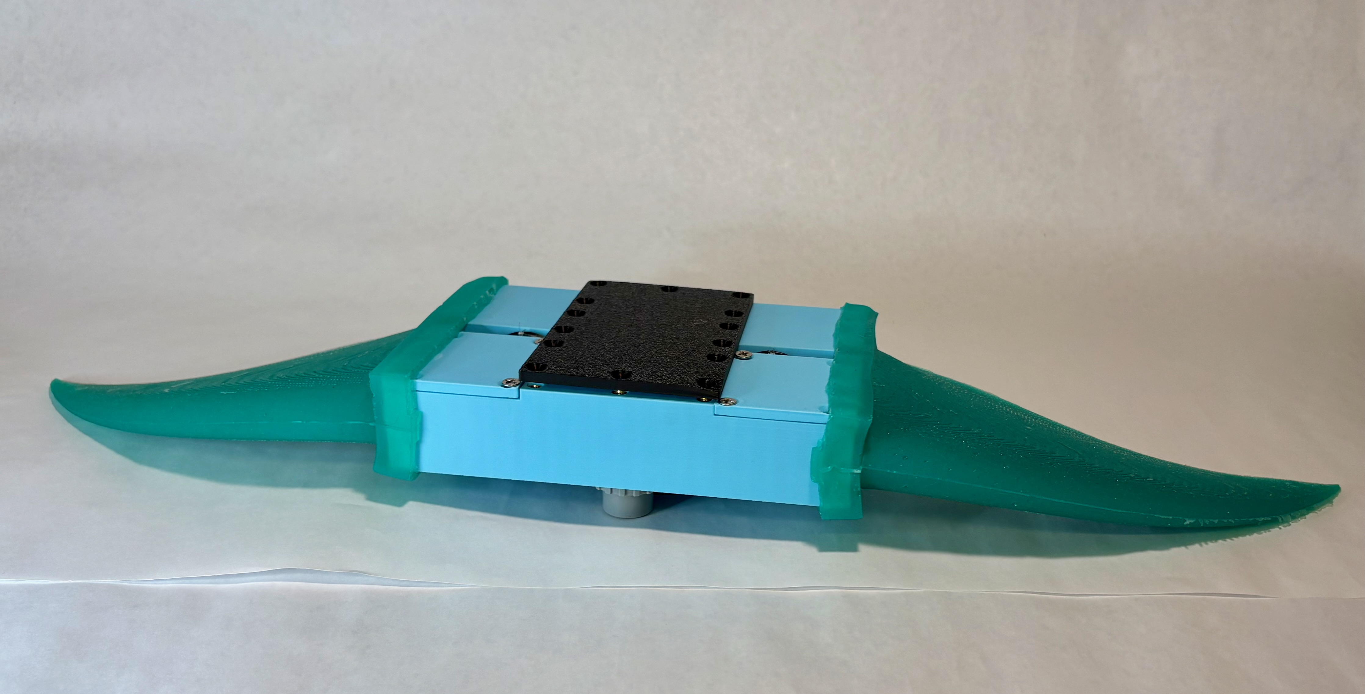 Overall RAY Body Prototype