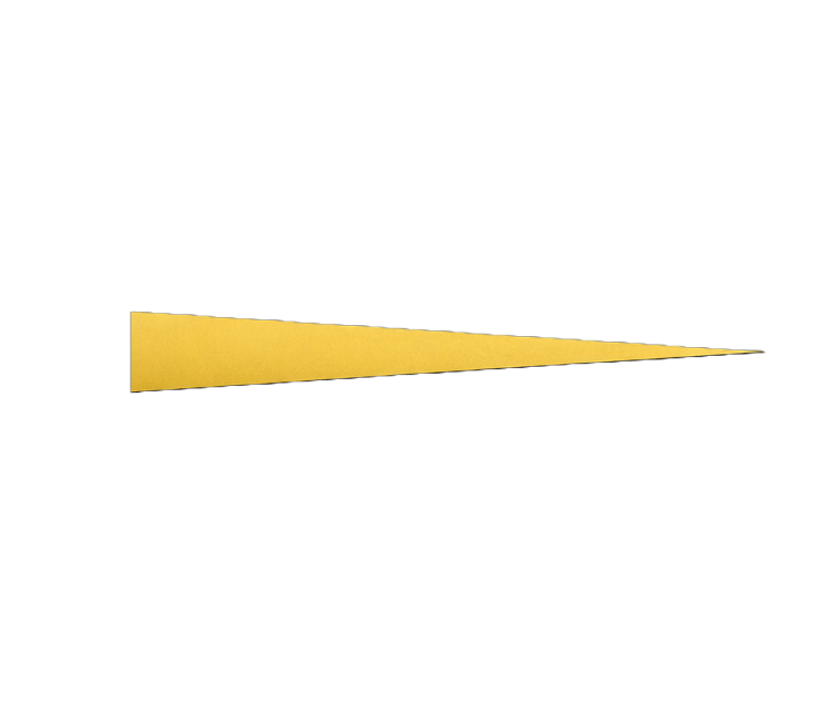 Right Logo